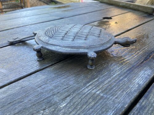 Vintage Indian Spice Cheese Nutmeg Coconut Grater Form of Tortoise Kitchenalia