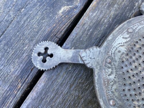 Vintage Indian Spice Cheese Nutmeg Coconut Grater Form of Tortoise Kitchenalia