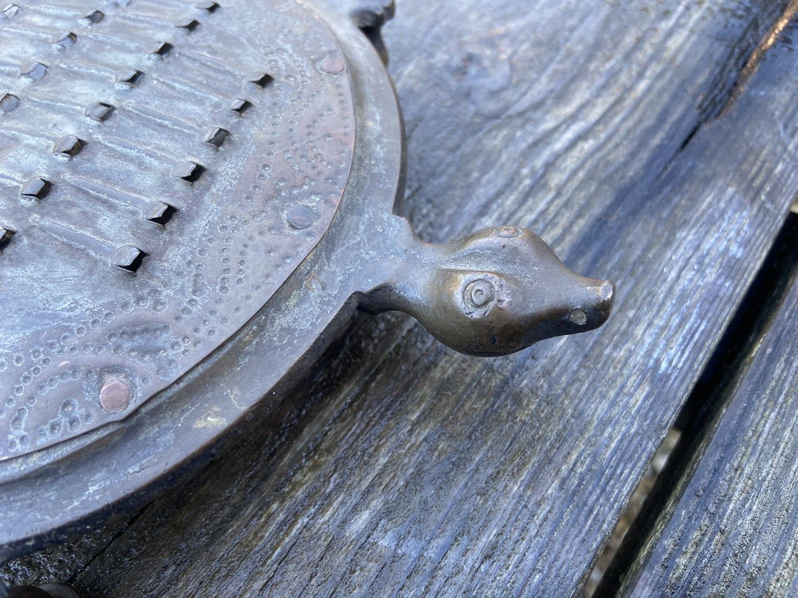 Vintage Indian Spice Cheese Nutmeg Coconut Grater Form of Tortoise Kitchenalia