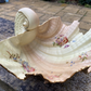 Antique Royal Worcester Blush Ivory Floral Shell Bowl Centrepiece 1903