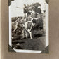 Antique / Vintage Family Photo Album Collectable Photographs Book