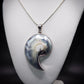 Stunning 925 Sterling Silver Mounted Shell Pendant and Chain Great Gift