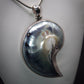 Stunning 925 Sterling Silver Mounted Shell Pendant and Chain Great Gift
