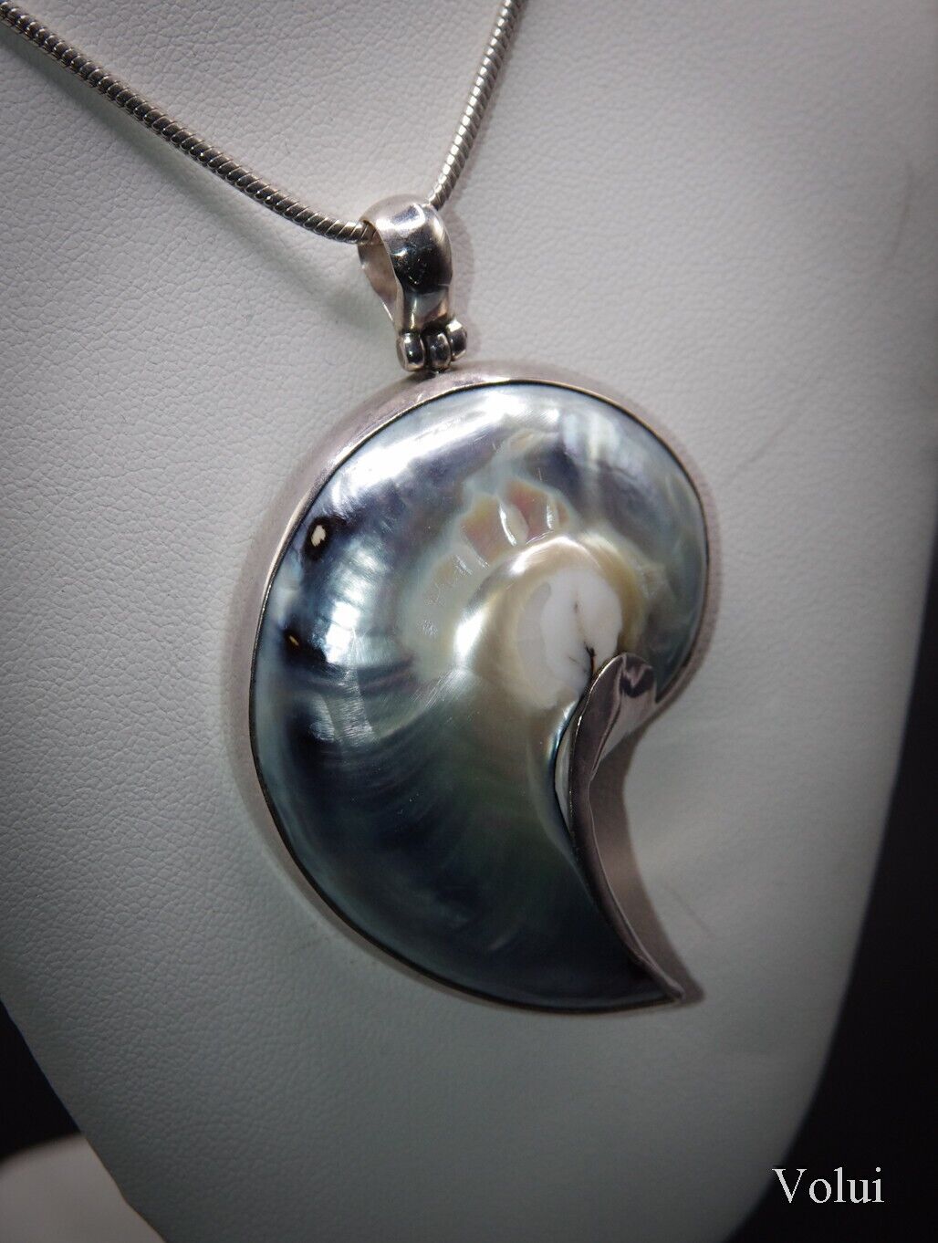 Stunning 925 Sterling Silver Mounted Shell Pendant and Chain Great Gift