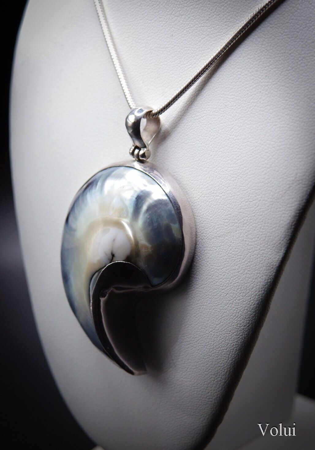 Stunning 925 Sterling Silver Mounted Shell Pendant and Chain Great Gift