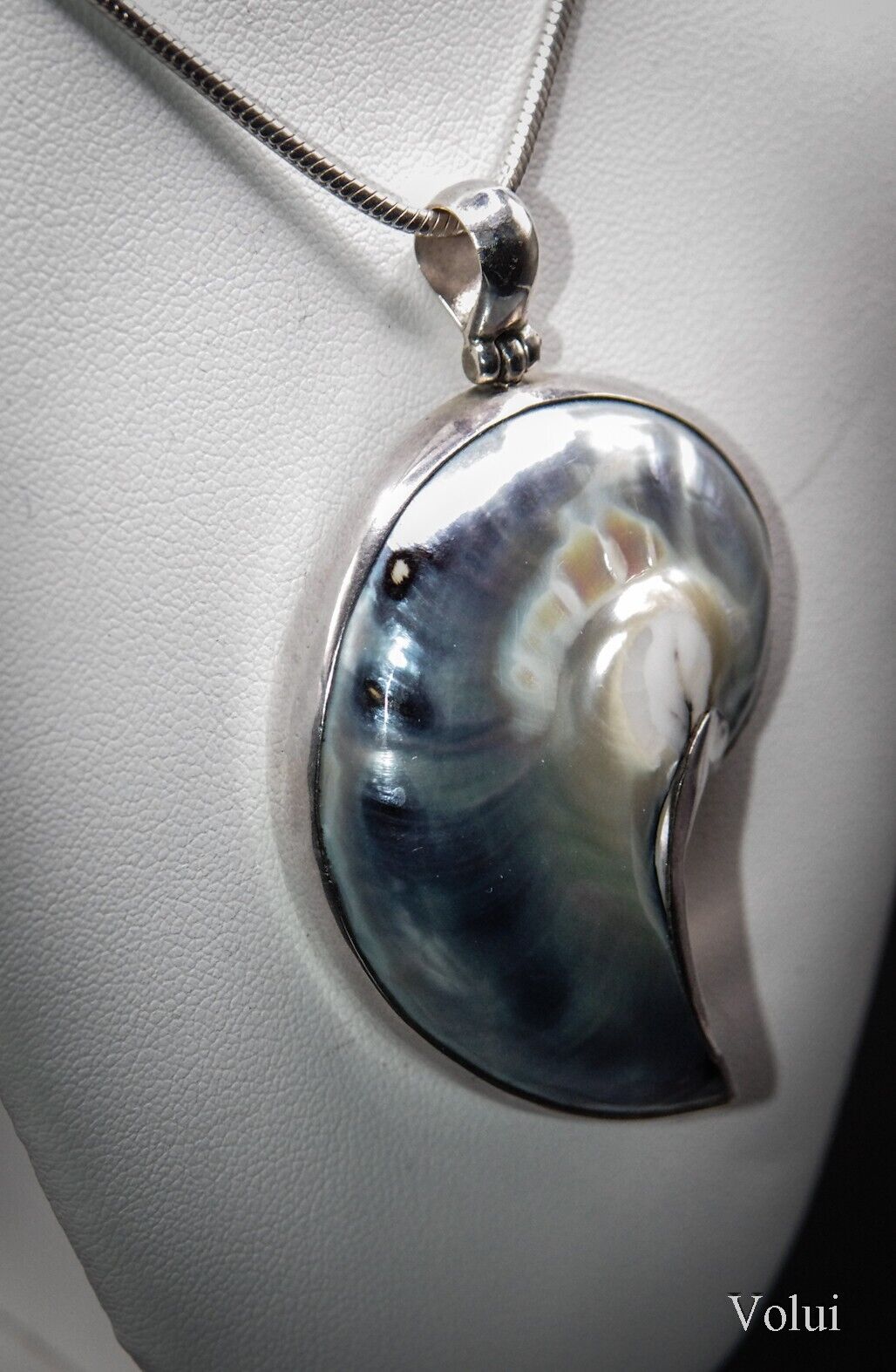 Stunning 925 Sterling Silver Mounted Shell Pendant and Chain Great Gift