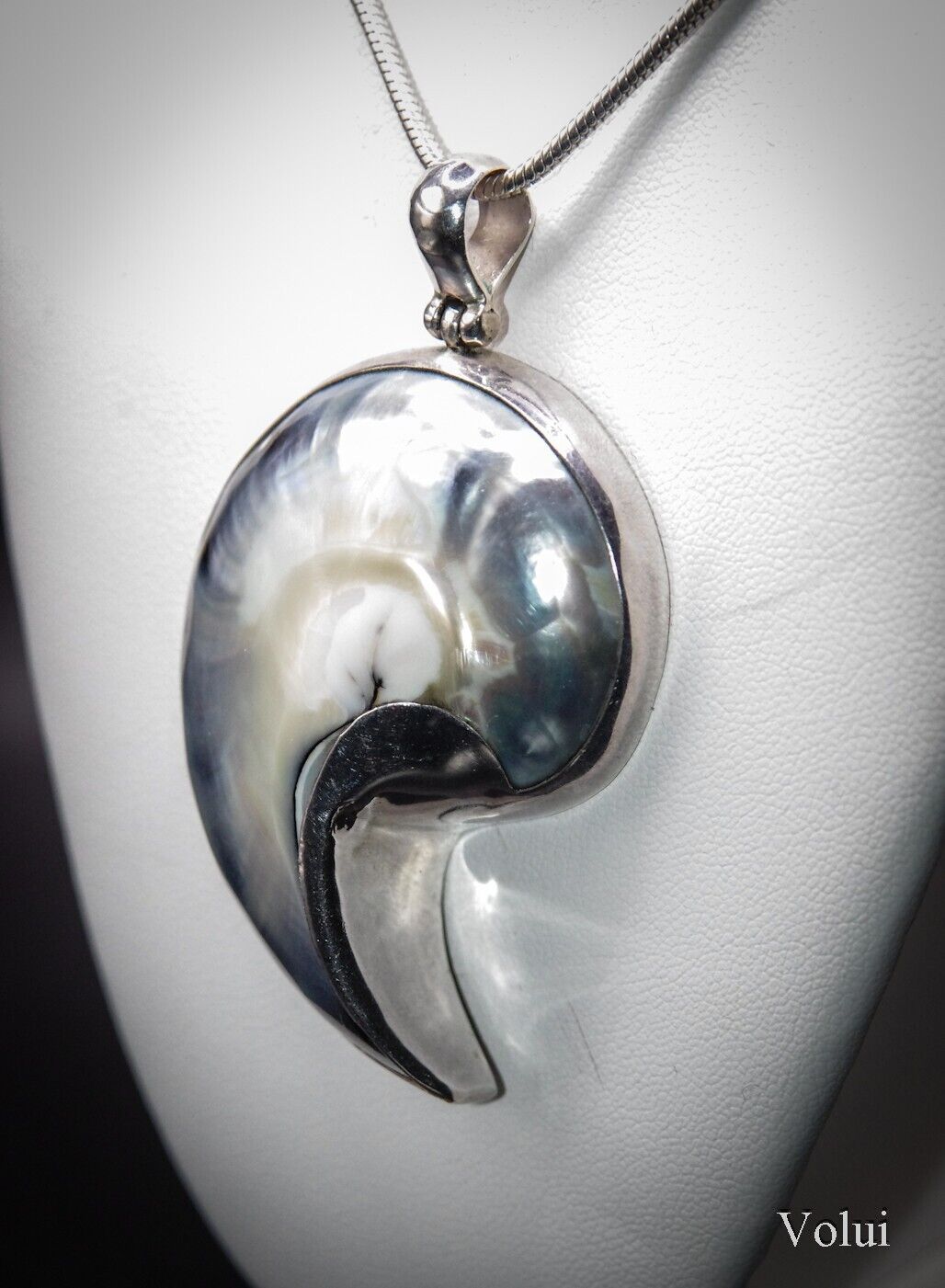 Stunning 925 Sterling Silver Mounted Shell Pendant and Chain Great Gift